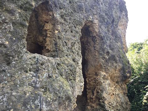 Hairy Cave .